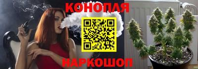 мяу мяу мука Кунгур
