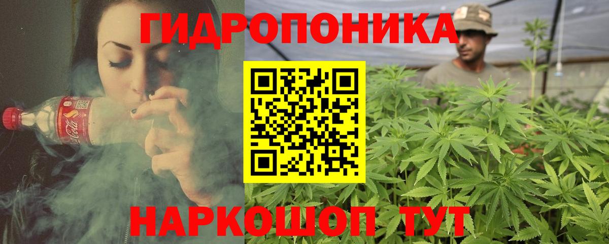 Шишки марихуана план Дербент